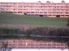 Mirrorinlake