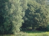 opgaard4
